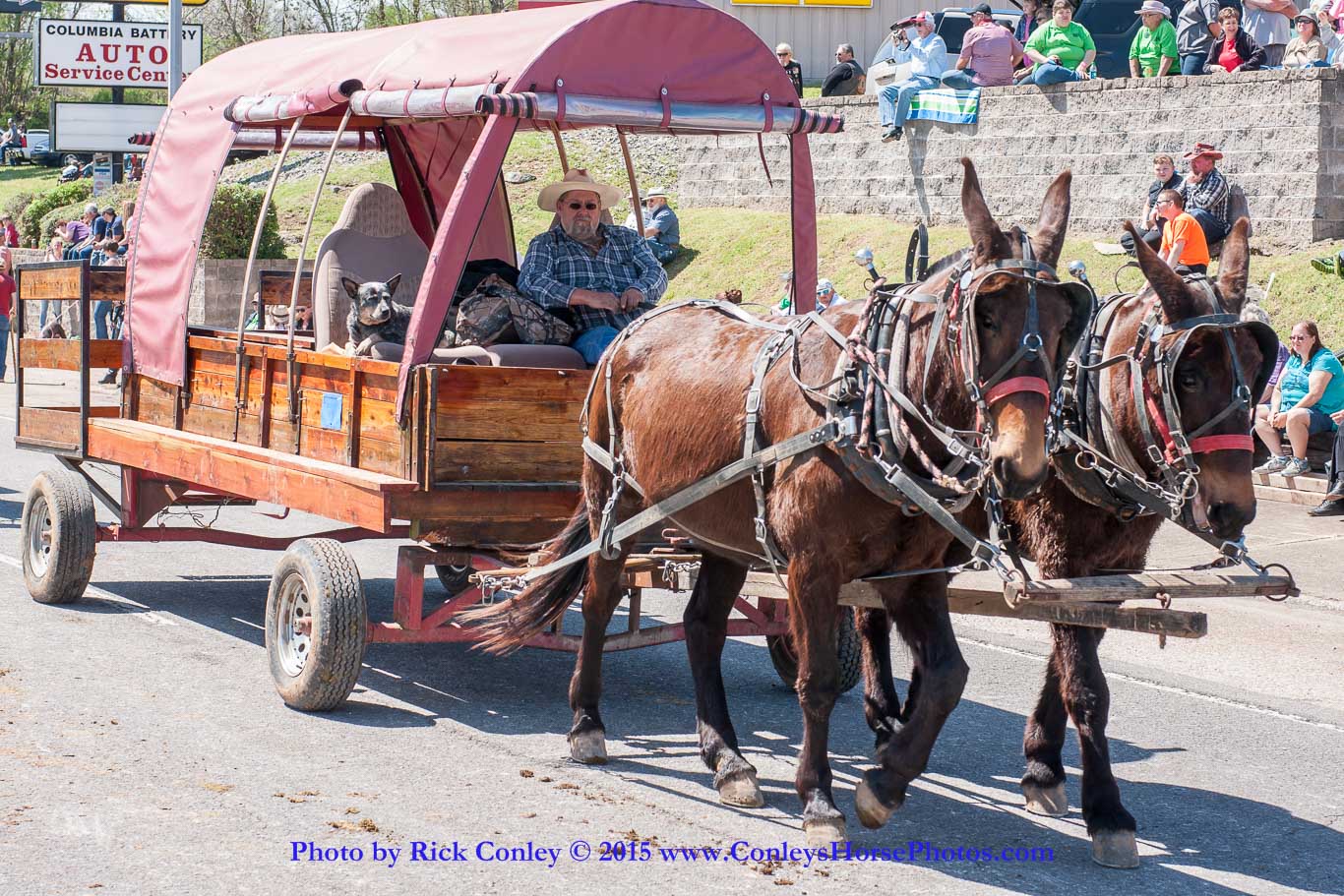 2015-04-11-2208.jpg - SONY DSC