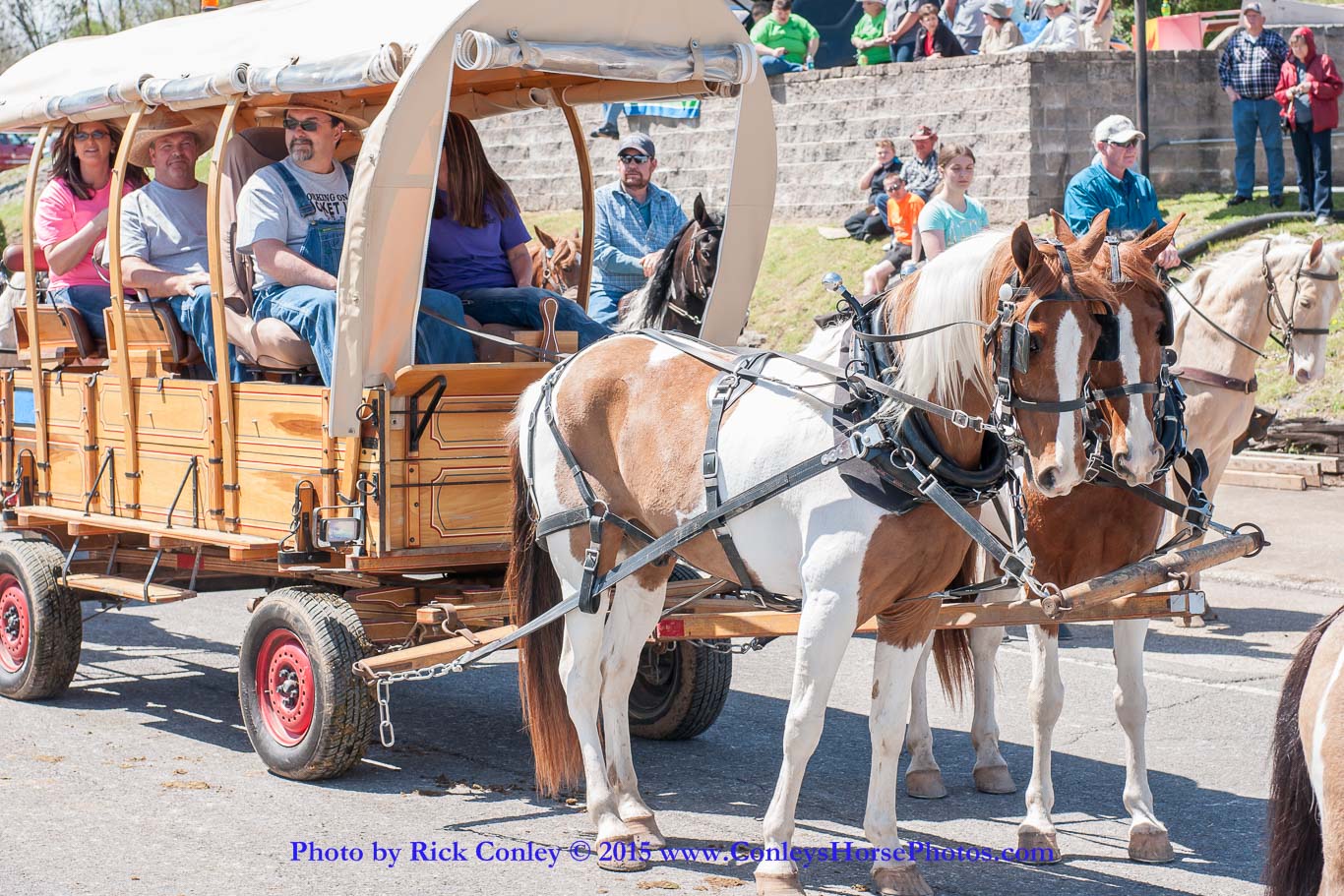 2015-04-11-2209.jpg - SONY DSC