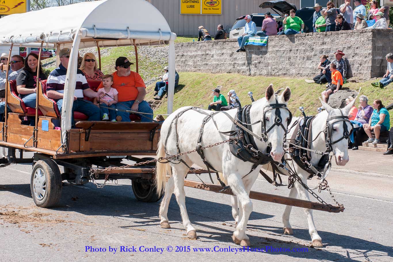 2015-04-11-2219.jpg - SONY DSC