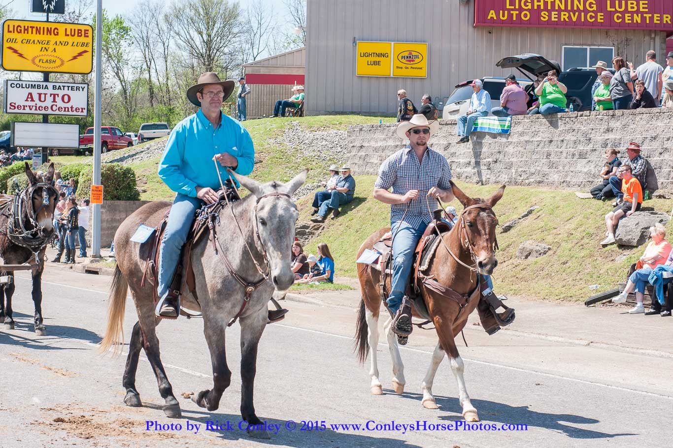 2015-04-11-2221.jpg - SONY DSC