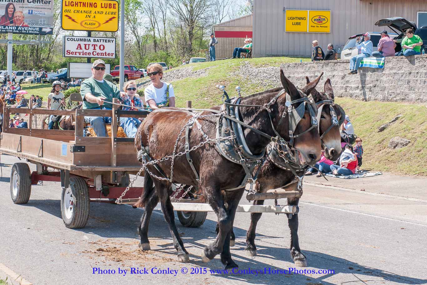 2015-04-11-2222.jpg - SONY DSC