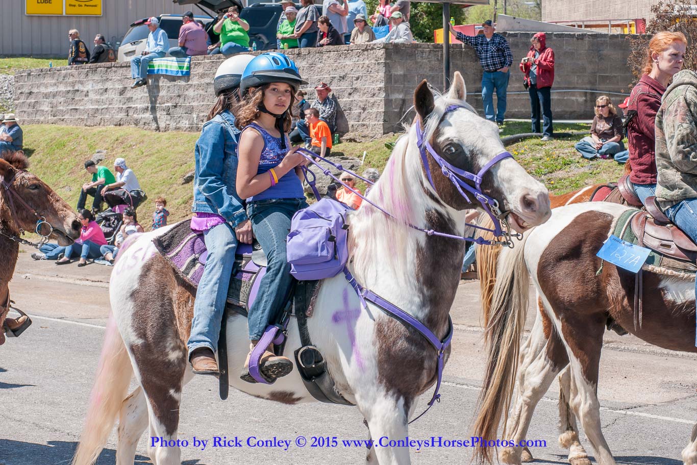 2015-04-11-2224.jpg - SONY DSC