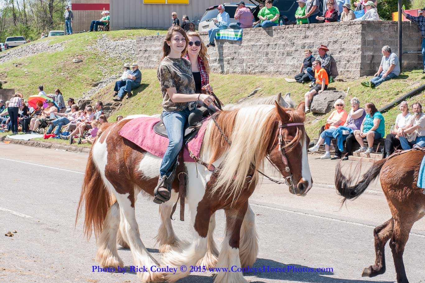 2015-04-11-2225.jpg - SONY DSC