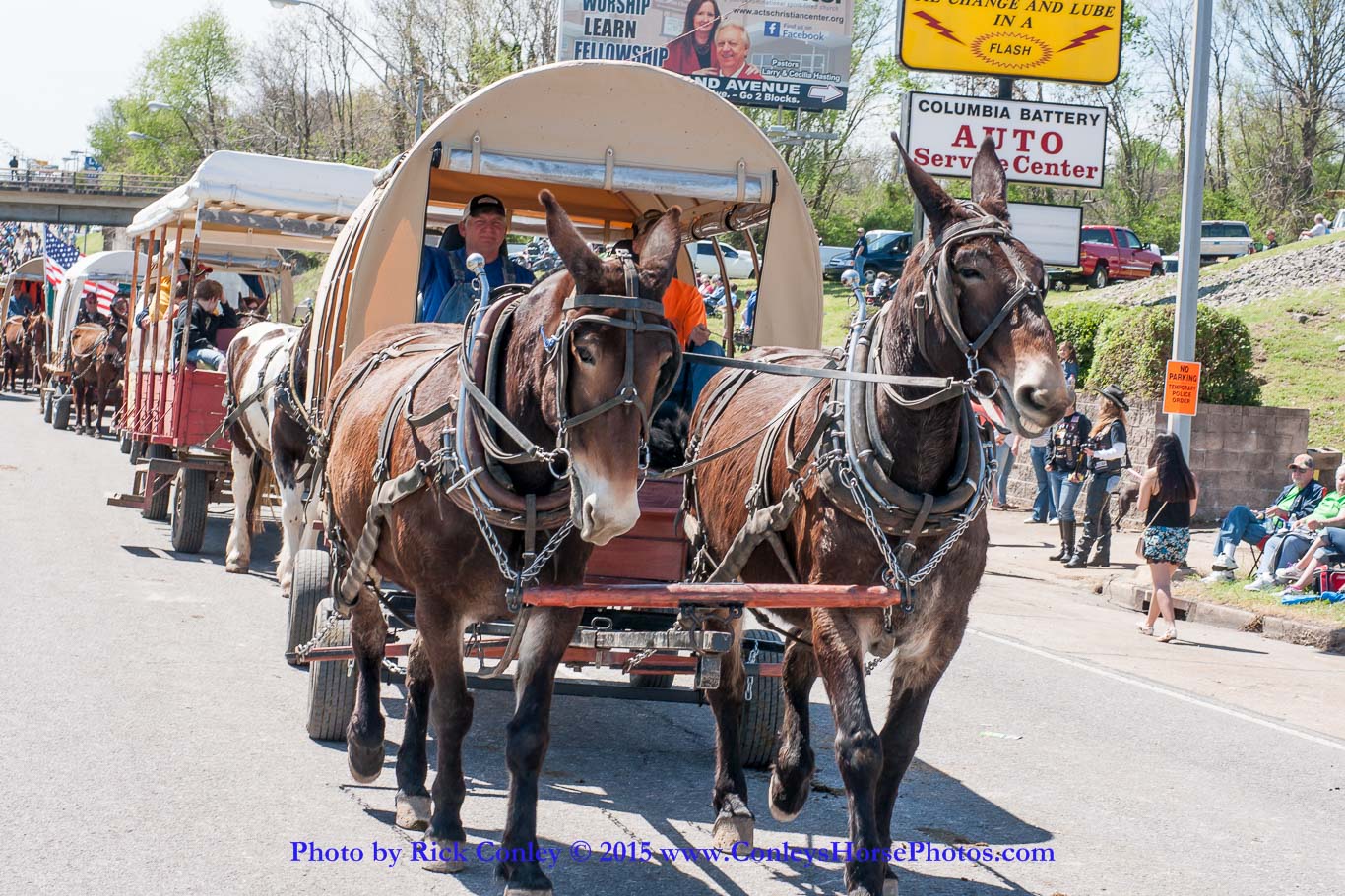 2015-04-11-2232.jpg - SONY DSC