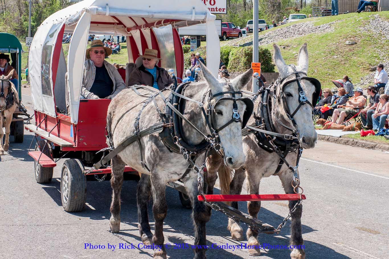 2015-04-11-2243.jpg - SONY DSC