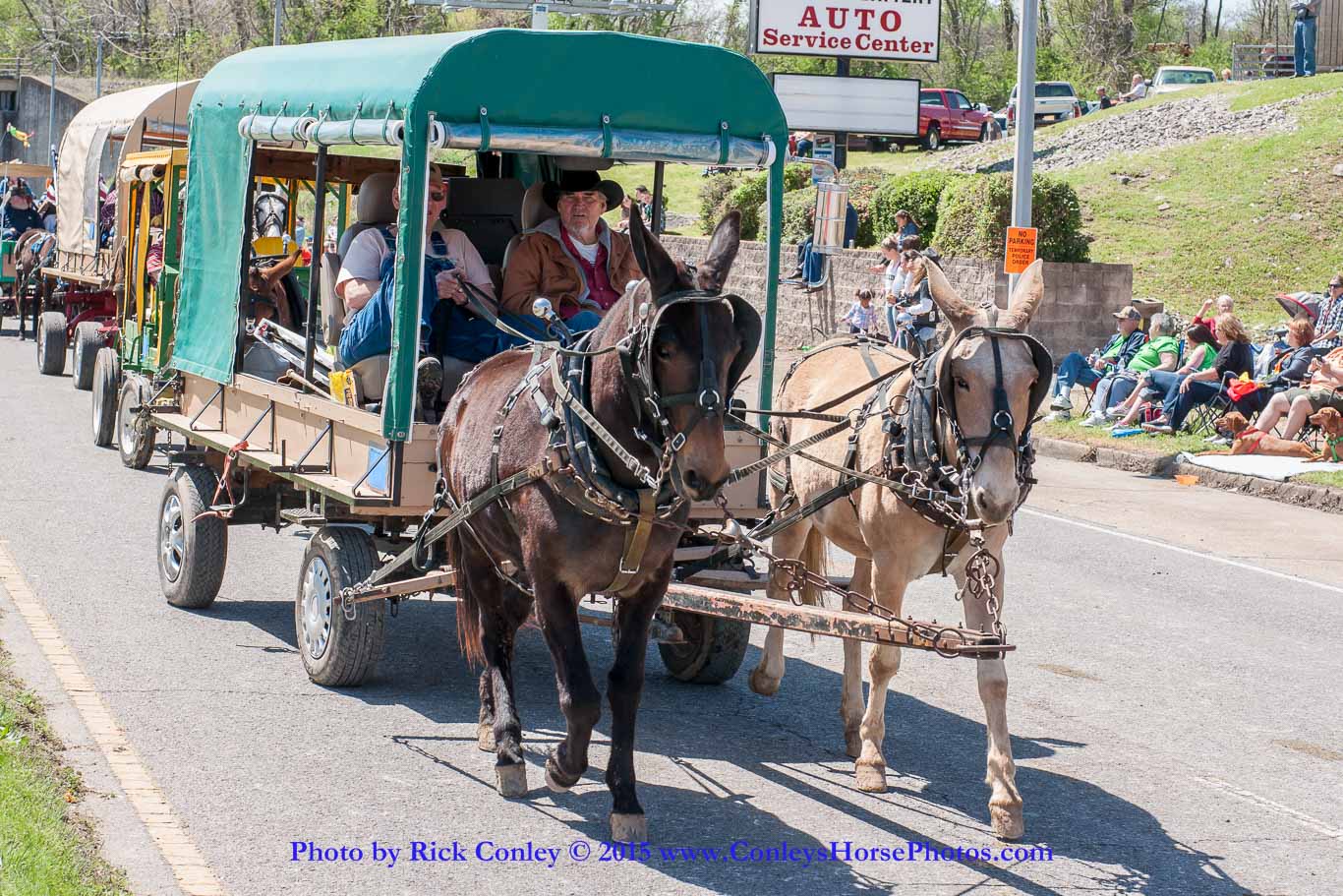 2015-04-11-2244.jpg - SONY DSC