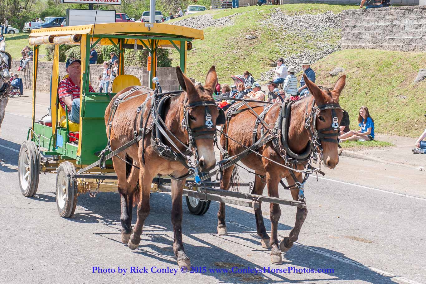 2015-04-11-2245.jpg - SONY DSC