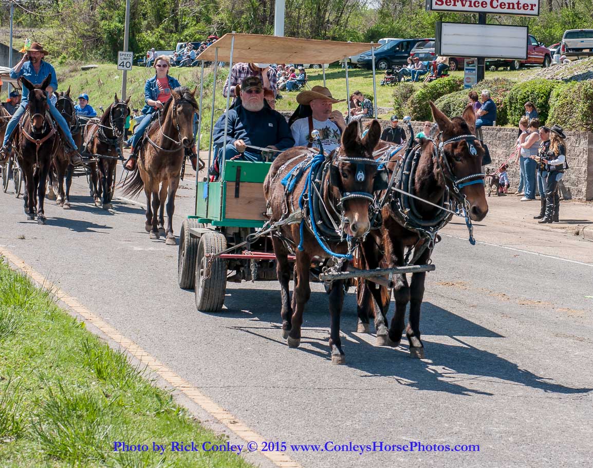 2015-04-11-2247.jpg - SONY DSC