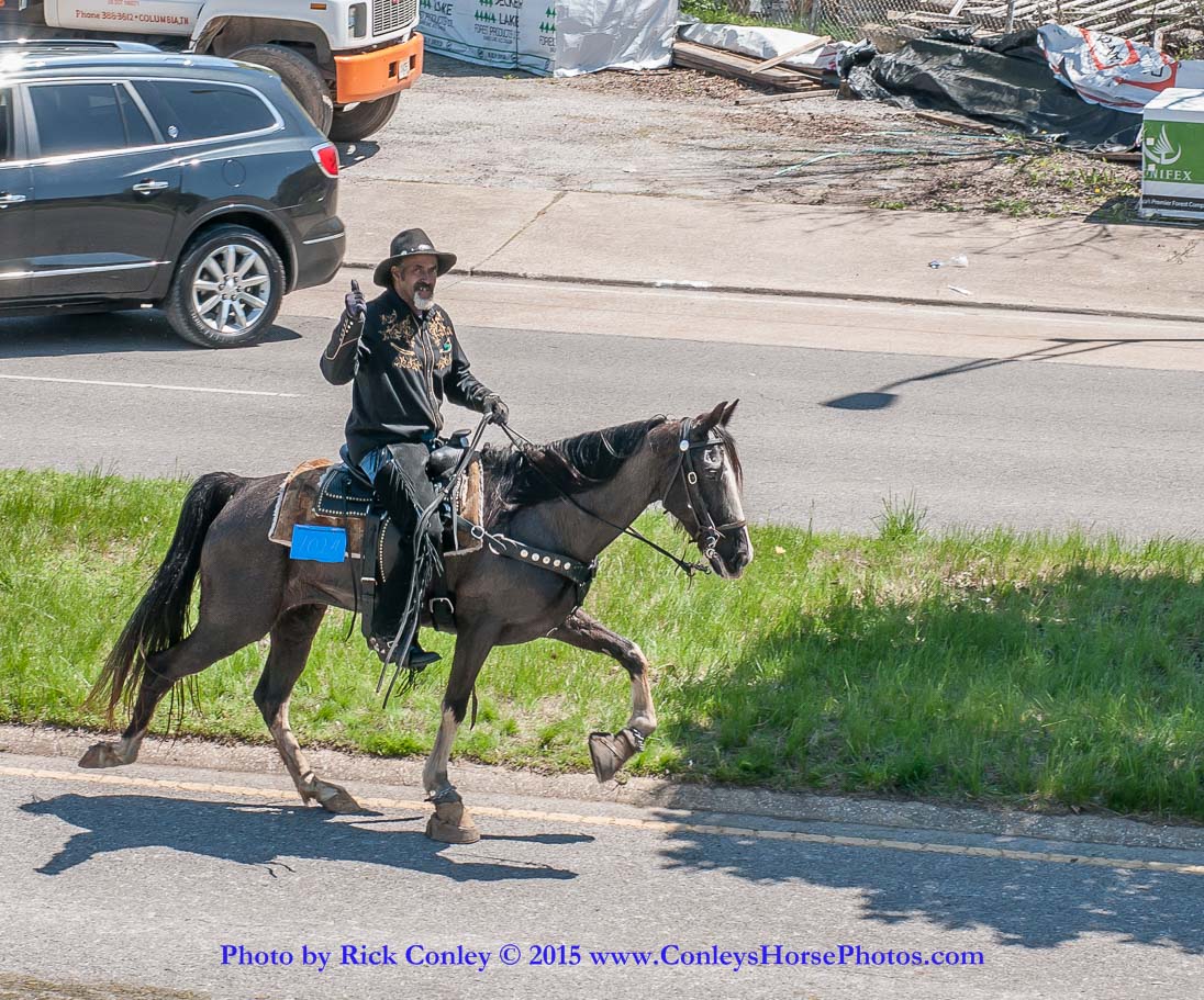 2015-04-11-2293.jpg - SONY DSC