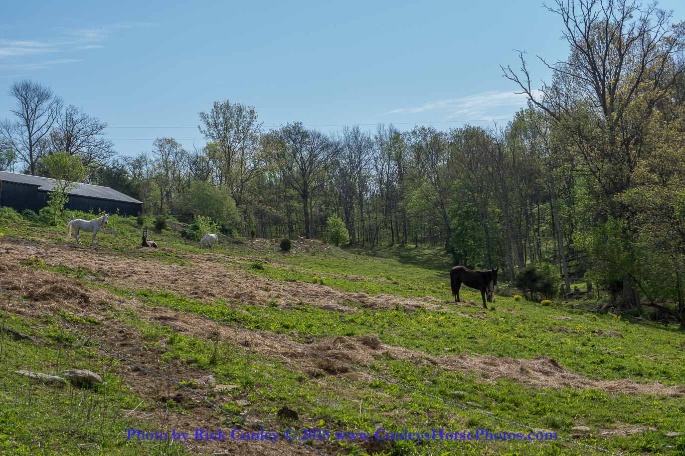 2015-05-03-05.jpg