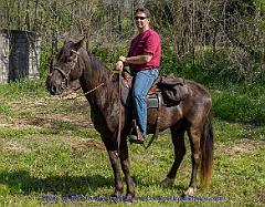 2015-05-02-12