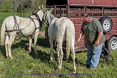 2015-05-03-02