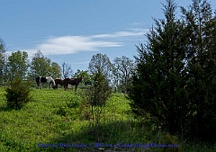 2015-05-03-04