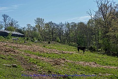 2015-05-03-05