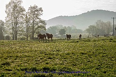 2015-05-09-001
