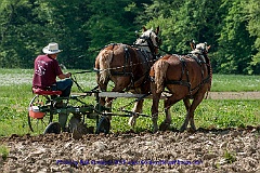 2015-05-09-016