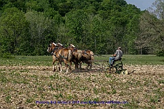 2015-05-09-023