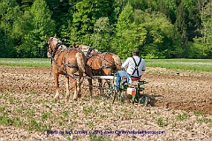 2015-05-08-15