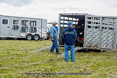 2015-05-16-022