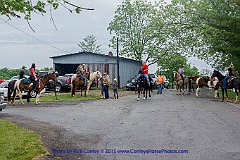 2015-05-16-025