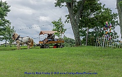2015-06-27-031