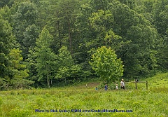 2015-07-04-073