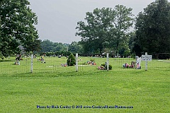 2015-07-04-116