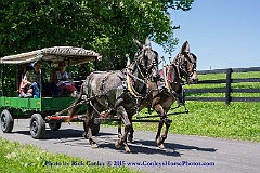 2015-07-22-059