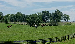 2015-07-22-068
