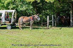 2015-08-02-11