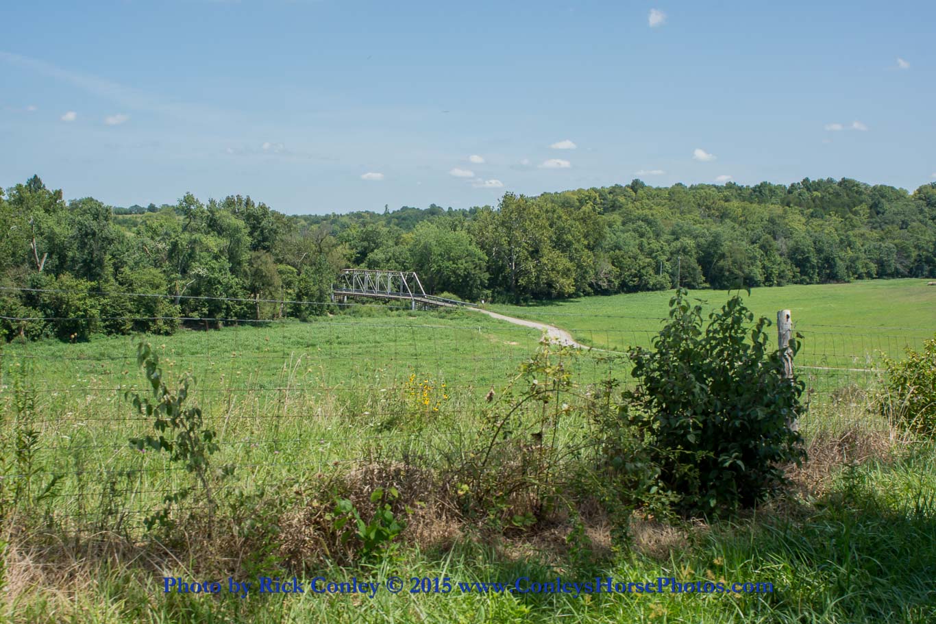 2015-08-22-109.jpg