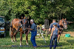 2015-09-04-007