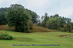 2015-10-02-040
