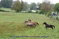 2015-10-02-045