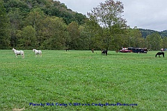 2015-10-03-005