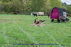 2015-10-03-008