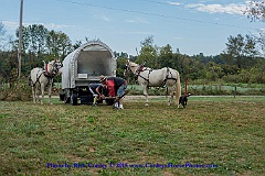 2015-09-28-009