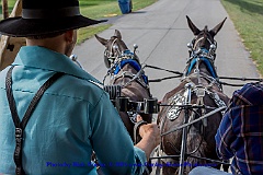 2015-09-28-049