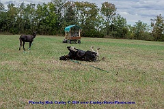 2015-09-28-120
