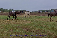 2015-09-29-002