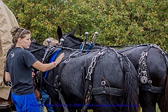 2015-09-29-006