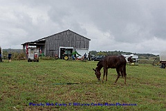 2015-09-29-090
