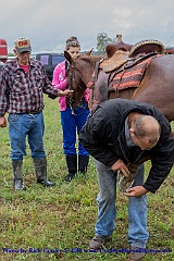 2015-09-29-105
