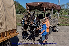 2015-10-07-045