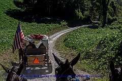 2015-10-07-063