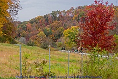 2015-10-24-054