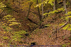 2015-10-24-065