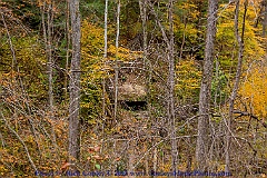 2015-10-24-102