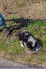 2016-03-26-048