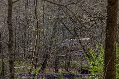2016-03-29-059